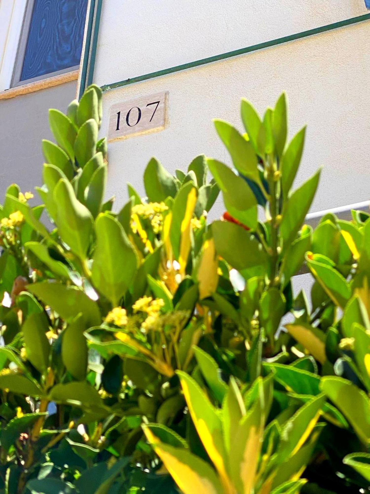 Apartment 107 - Roma Fiumicino Exterior foto